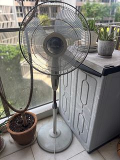 (Category: ) located in . Submitted by mylenemarques0 (Listing ID 1373456215, Image 1). Description: .