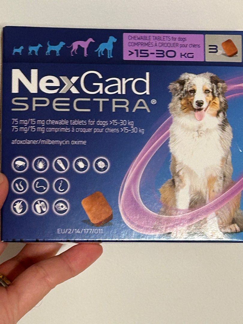 Nexgard Spectra (Category: Health & Grooming) located in Singapore. Submitted by sunshine.365 (Listing ID 1373427676, Image 1). Description: Bought from vet clinic - decided not to give our dog. We bought it for much more unfortunately but willing to let it go for $75. .
