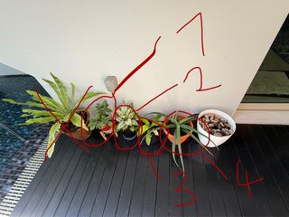 (Category: ) located in . Submitted by paintzs (Listing ID 1373415660, Image 1). Description: .