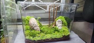 (Category: ) located in . Submitted by theaidashop (Listing ID 1373514100, Image 1). Description: .