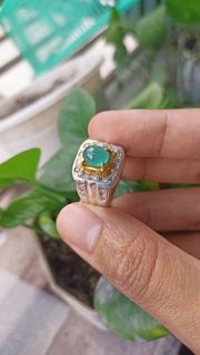 (Category: ) located in . Submitted by asyrof_ruslan (Listing ID 1373506219, Image 1). Description: .