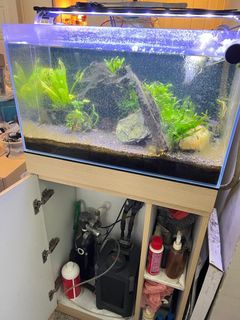 (Category: ) located in . Submitted by pepperzap (Listing ID 1373671867, Image 1). Description: .