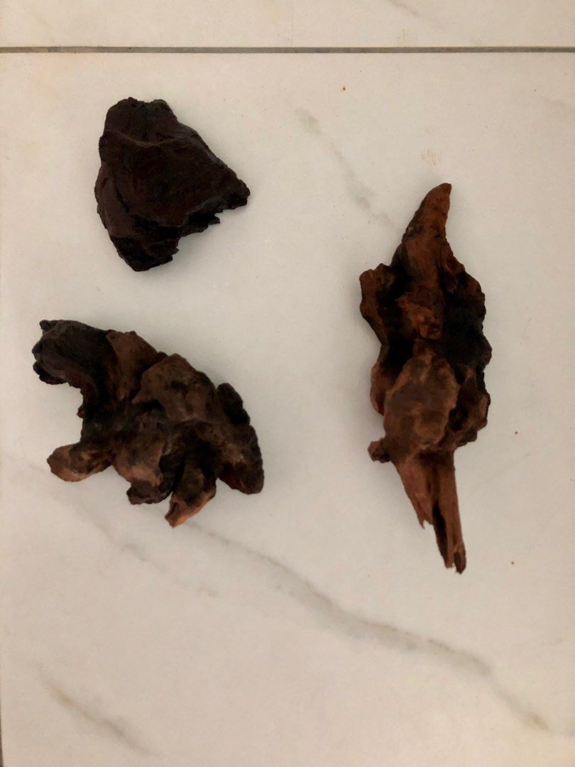 由 guiro (刊登 ID 1373605636，圖片 3) 提交，位於 新北市 (New Taipei) 的 水族魚缸過濾打氣機+木頭 (類別：寵物及其他)，說明：。