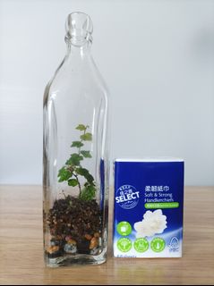（分類：）位於 。 由 byg2020 提交（商品編號 1373601249，圖片 1）。簡介： 。