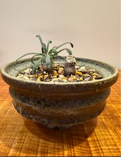 （分類：）位於 。 由 johnny_0131 提交（商品編號 1373637542，圖片 1）。簡介： 。