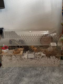 (Category: ) located in . Submitted by prieda (Listing ID 1373722425, Image 1). Description: .