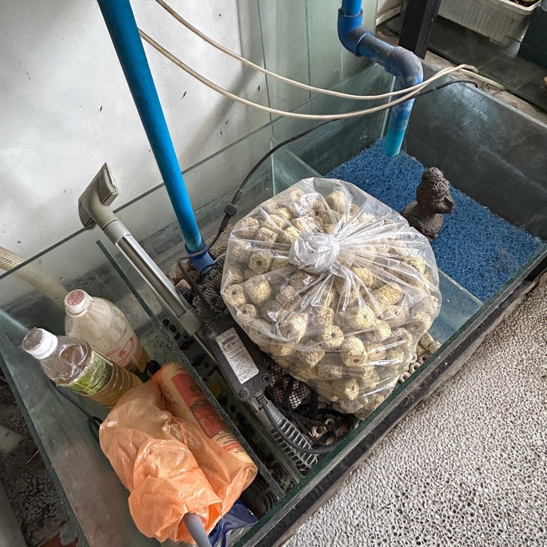 Aquarium 50 gallons with stand (Category: Outdoor Furniture) located in Quezon City. Submitted by jaja.20 (Listing ID 1373650468, Image 3). Description: Inclusions: Filter Stand -made fr marine wood. All in! As is where is..