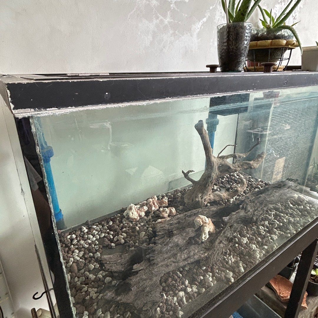 Aquarium 50 gallons with stand (Category: Outdoor Furniture) located in Quezon City. Submitted by jaja.20 (Listing ID 1373650468, Image 2). Description: Inclusions: Filter Stand -made fr marine wood. All in! As is where is..