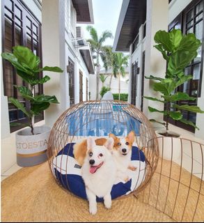 (Category: ) located in . Submitted by pamlreyes (Listing ID 1373630953, Image 1). Description: .