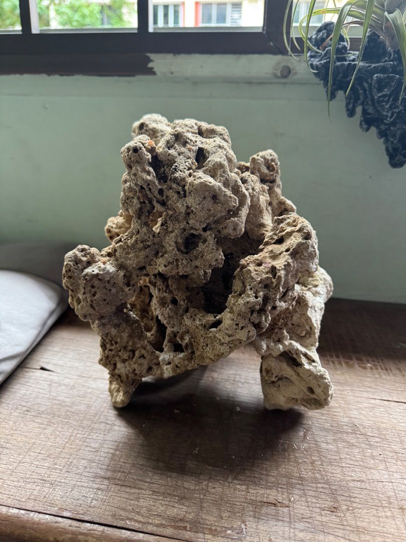 marine rock (Category: Homes & Other Pet Accessories) located in Singapore. Submitted by alvin1991lim (Listing ID 1370226766, Image 3). Description: good design marine rock pic 1 & 2-orange-$55（27x21cm） pic 3-white-$35（20x24cm） Pic 4-pink-$30/pc（tile is 40x30cm） Pic 5-pink-$40/pc（tile is 40x30cm）.