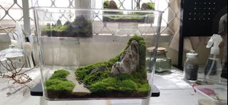 (Category: ) located in . Submitted by theaidashop (Listing ID 1373687721, Image 1). Description: .