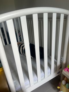 （分類：）位於 。 由 momo_key 提交（商品編號 1373605482，圖片 1）。簡介： 。