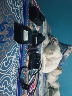 (Category: ) located in . Submitted by anlif (Listing ID 1373748325, Image 1). Description: .