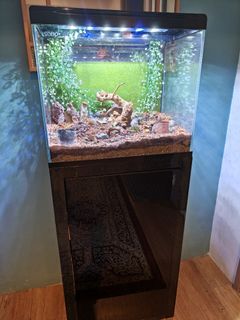 (Category: ) located in . Submitted by raido88 (Listing ID 1373874942, Image 1). Description: .