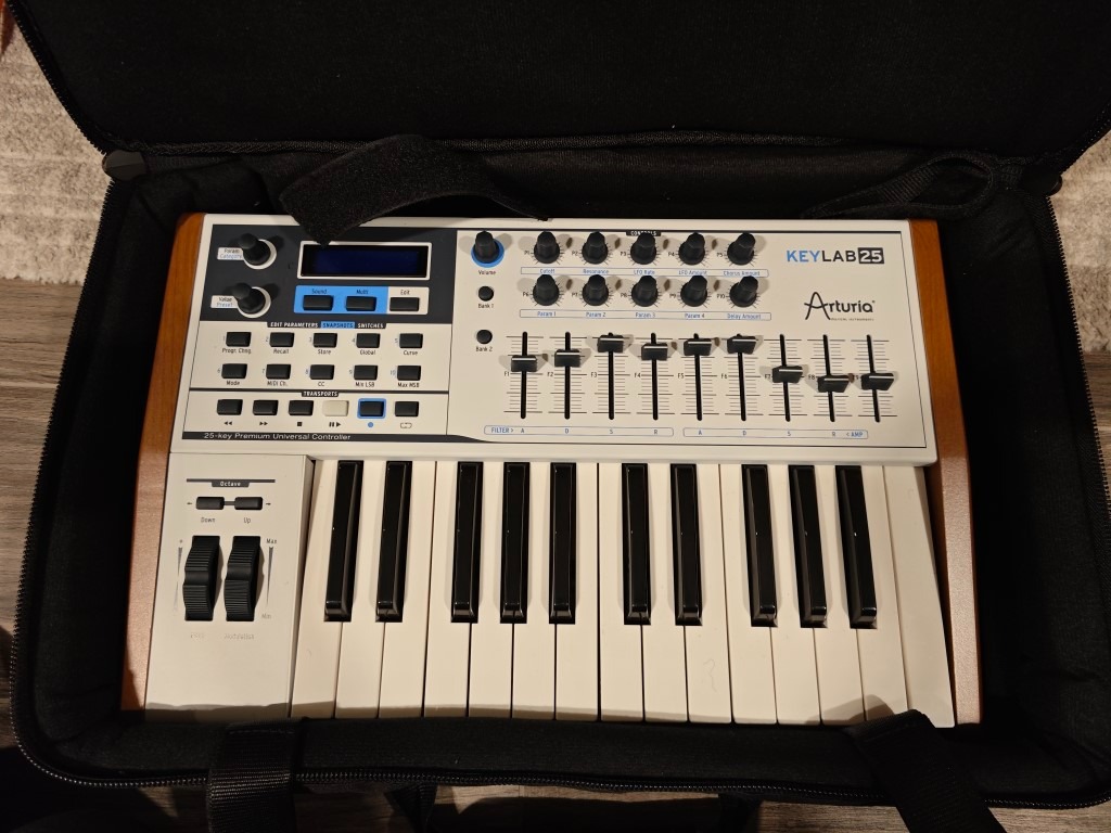 Arturia Keylab 25 (MIDI controller and keyboard for Musicians ...