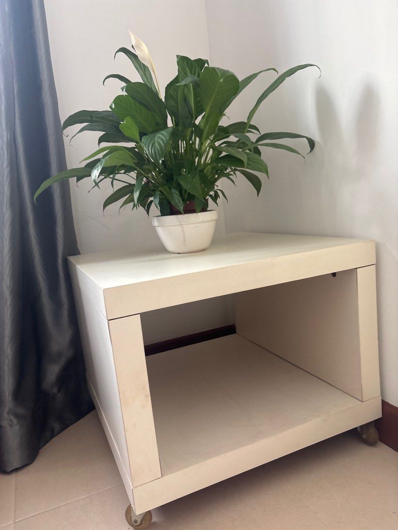 Bedside Table (Category: Tables & Sets) located in Singapore. Submitted by magicscarf (Listing ID 1373872097, Image 2). Description: Bedside or side table with rollers, fully functional. In good condition White has faded with time Plant not included. For reference only. Quick and easy to deal. No fuss seller. From ikea Original price $60 .