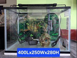 (Category: ) located in . Submitted by jim2405 (Listing ID 1373865456, Image 1). Description: .