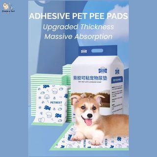 (Category: ) located in . Submitted by chaseatailsg (Listing ID 1373798466, Image 1). Description: .