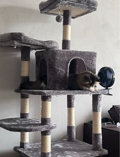 (Category: ) located in . Submitted by pllanets (Listing ID 1378029139, Image 1). Description: .