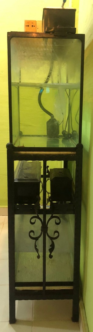 (Category: ) located in . Submitted by lovesgadget (Listing ID 1378093543, Image 1). Description: .