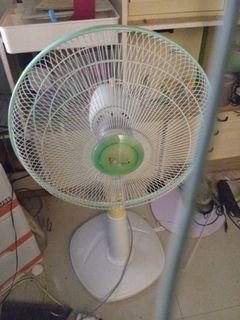 由 corny263 (刊登 ID 1378025280，圖片 1) 提交，位於 的 (類別：)，說明：。
