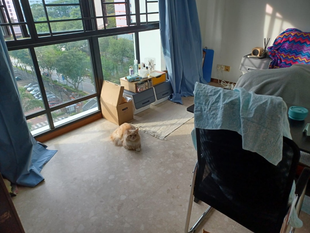 (Category: ) located in . Submitted by jordan_jin (Listing ID 1378127213, Image 1). Description: .