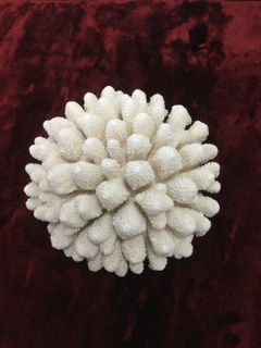 (Category: ) located in . Submitted by rarecollections (Listing ID 1377952129, Image 1). Description: .