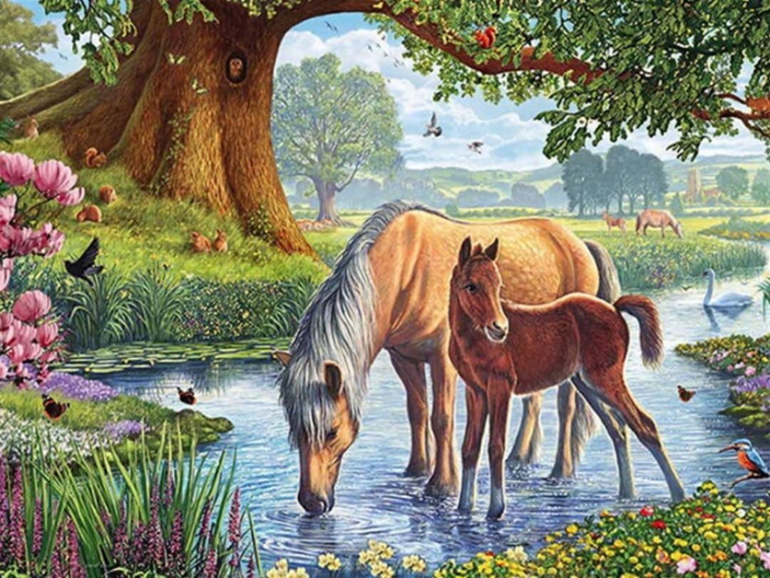 Cross Stitch Needlework Embroidery Kit | 2 Horses In Stream (30x40cm 14CT Printed Canvas) (Category: Craft Supplies & Tools) located in Canberra. Submitted by lovelylust (Listing ID 1377954272, Image 1). Description: This 2 Horses In Stream Cross Stitch Needlework Embroidery Kit. This is a DIY kit, you need to do your own embroidery. 14ct cross stitch, use 2 strands of yarn and 11ct cross stitch, use 3 strands of yarn. Printed fabric, the pattern