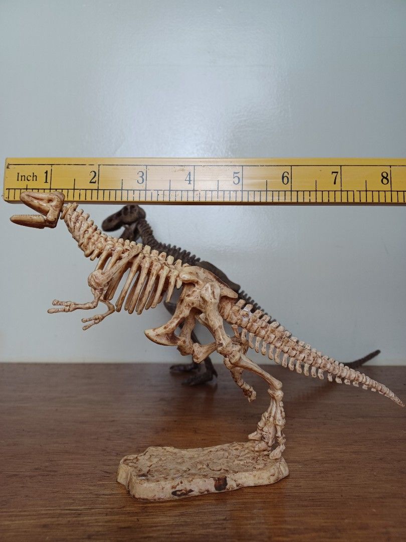 Dinosaur skeleton figure display set no separation (Category: Figurines & Statues) located in Baguio. Submitted by restyrille77846 (Listing ID 1378084532, Image 3). Description: Secondhand Buy as is What you see is what you get Pm is the key Location baguio city Dropping area mabini shopping center stall 10 Plus shipping fee sa malayo Payment via gcash bpi palawan cebuana Courier jrs or j&t First to pay owns the item No reservation no cancellatio