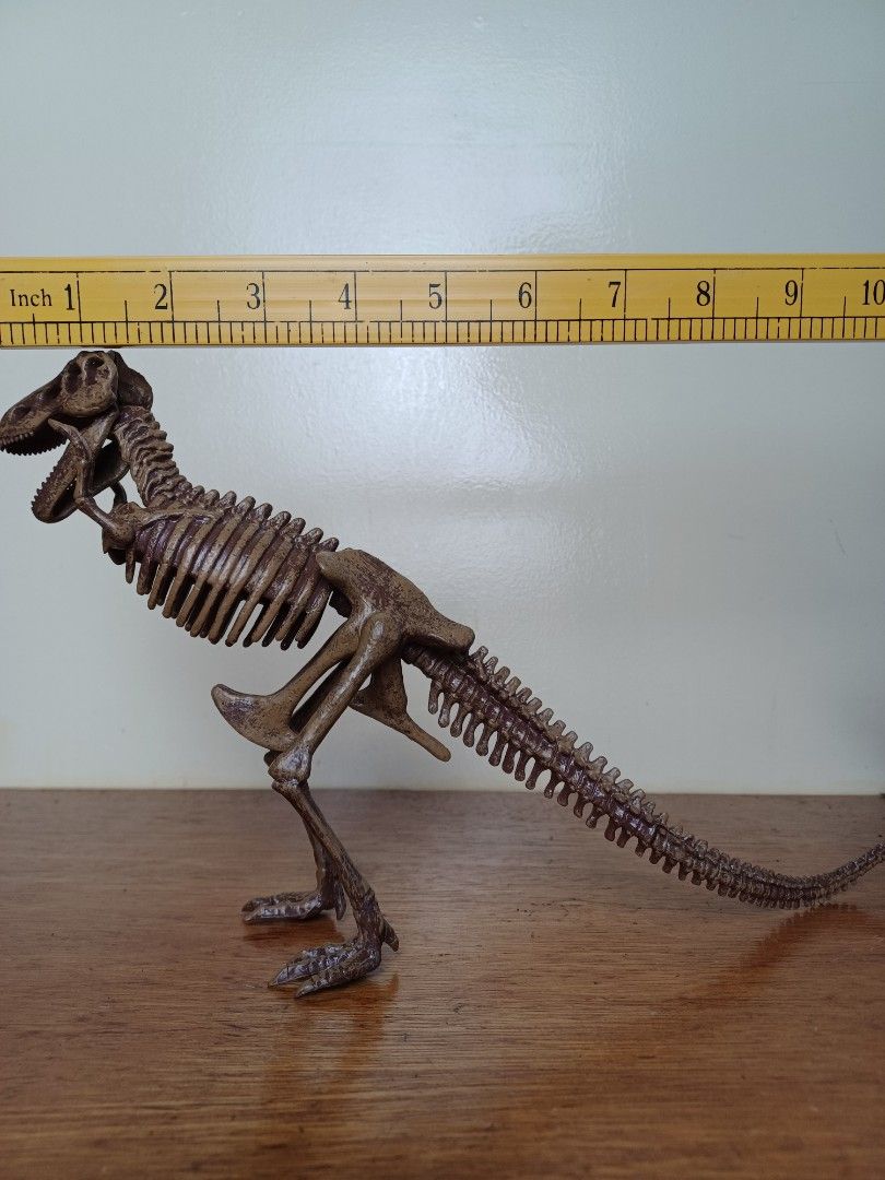 Dinosaur skeleton figure display set no separation (Category: Figurines & Statues) located in Baguio. Submitted by restyrille77846 (Listing ID 1378084532, Image 2). Description: Secondhand Buy as is What you see is what you get Pm is the key Location baguio city Dropping area mabini shopping center stall 10 Plus shipping fee sa malayo Payment via gcash bpi palawan cebuana Courier jrs or j&t First to pay owns the item No reservation no cancellatio