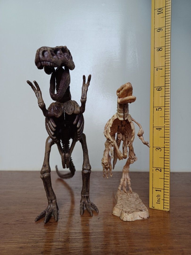 Dinosaur skeleton figure display set no separation (Category: Figurines & Statues) located in Baguio. Submitted by restyrille77846 (Listing ID 1378084532, Image 1). Description: Secondhand Buy as is What you see is what you get Pm is the key Location baguio city Dropping area mabini shopping center stall 10 Plus shipping fee sa malayo Payment via gcash bpi palawan cebuana Courier jrs or j&t First to pay owns the item No reservation no cancellatio