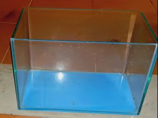 (Category: ) located in . Submitted by ebwint (Listing ID 1378037684, Image 1). Description: .