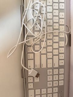 (Category: ) located in . Submitted by magicbeans (Listing ID 1378010231, Image 1). Description: .