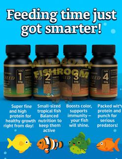 (Category: ) located in . Submitted by wildboarfishroom (Listing ID 1378127858, Image 1). Description: .