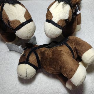 (Category: ) located in . Submitted by ktmarynel (Listing ID 1379755269, Image 1). Description: .
