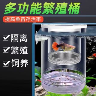 由 orange.meow (刊登 ID 1379894602，圖片 1) 提交，位於 的 (類別：)，說明：。