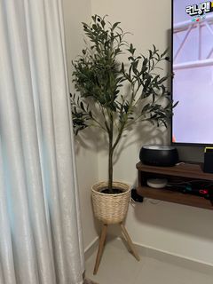 (Category: ) located in . Submitted by dmoongie (Listing ID 1379830884, Image 1). Description: .