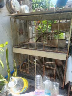 (Category: ) located in . Submitted by angelouaguilar_13 (Listing ID 1379818823, Image 1). Description: .