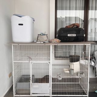 (Category: ) located in . Submitted by pelaaangi (Listing ID 1379388758, Image 1). Description: .