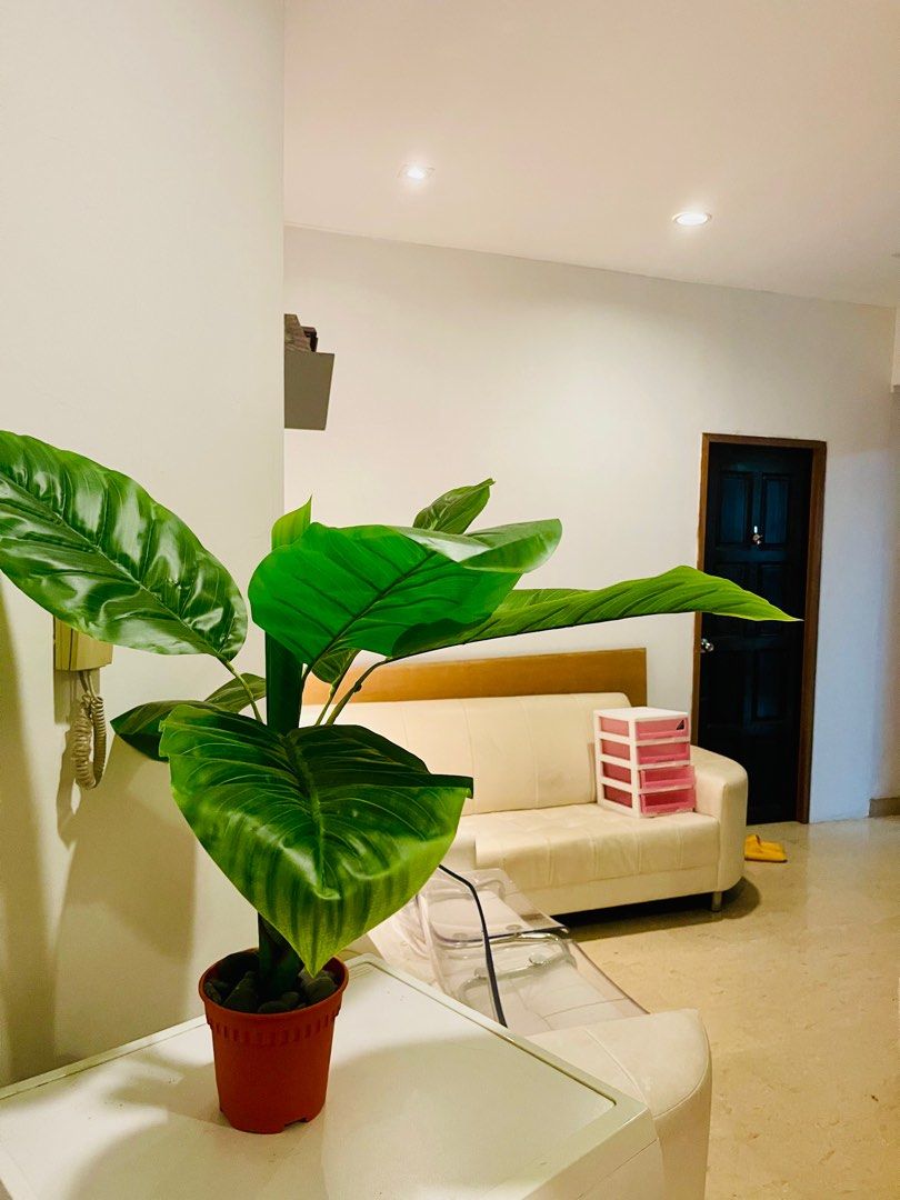 🌈DhobyGhaut & Rochor Condo Single Room63227232606339114
