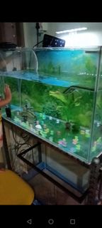 (Category: ) located in . Submitted by trade_is_welcome (Listing ID 1379788705, Image 1). Description: .