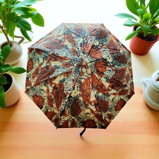 (Category: ) located in . Submitted by plantcorner (Listing ID 1379831876, Image 1). Description: .