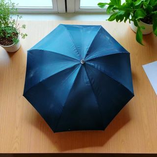 (Category: ) located in . Submitted by plantcorner (Listing ID 1379832923, Image 1). Description: .