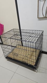 (Category: ) located in . Submitted by modernavenue (Listing ID 1379780952, Image 1). Description: .