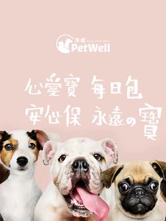 由 samng8746263003 (刊登 ID 1379765614，圖片 1) 提交，位於 的 (類別：)，說明：。
