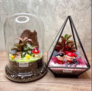(Category: ) located in . Submitted by lushglassdoor (Listing ID 1379748807, Image 1). Description: .