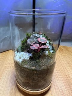 (Category: ) located in . Submitted by keiro_niwa (Listing ID 1378762059, Image 1). Description: .