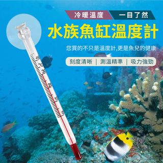 由 aron91061680683 (刊登 ID 1379967985，圖片 1) 提交，位於 的 (類別：)，說明：。