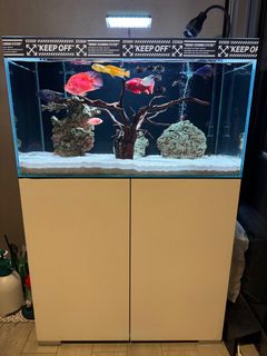 (Category: ) located in . Submitted by seafoodmarketplace (Listing ID 1380061350, Image 1). Description: .