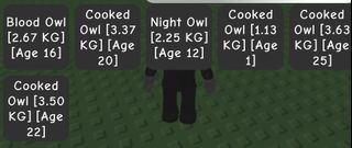 (Category: ) located in . Submitted by justthings. (Listing ID 1380085434, Image 1). Description: .